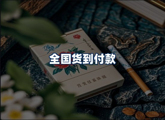 专业团队办公环境